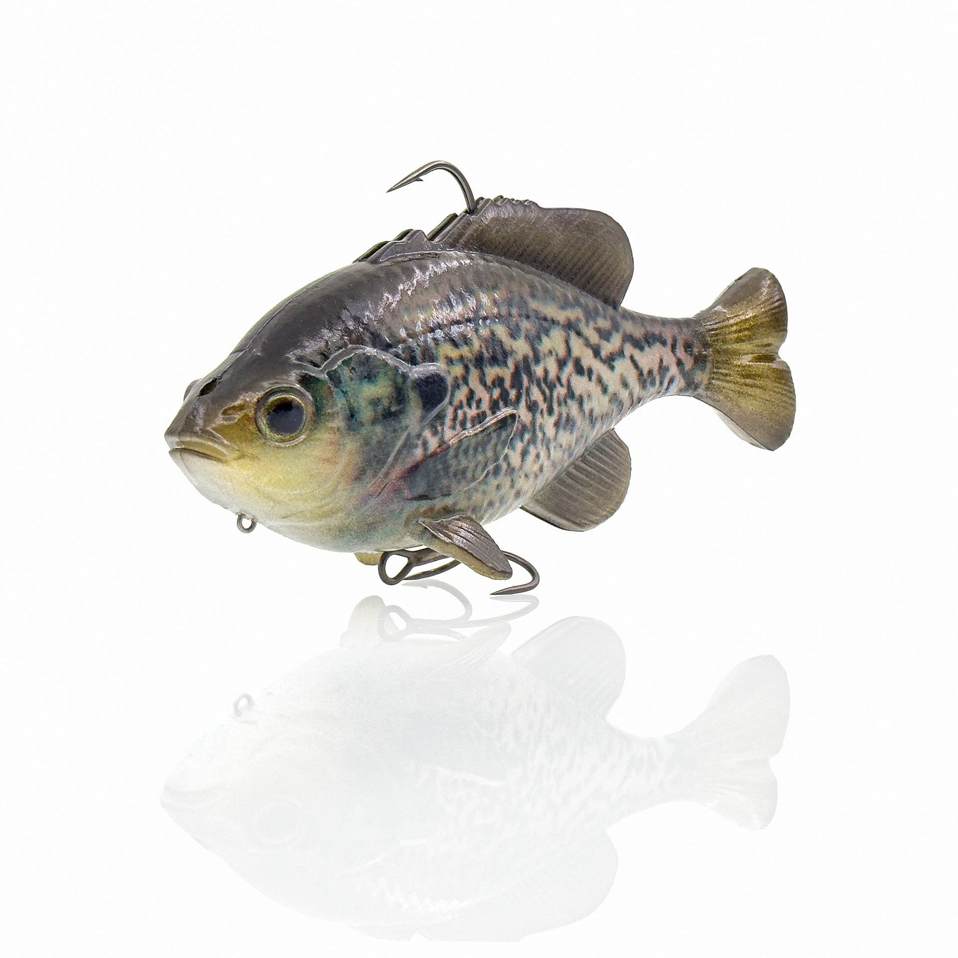 3D Pulse Tail Bluegill Line Thru Pro