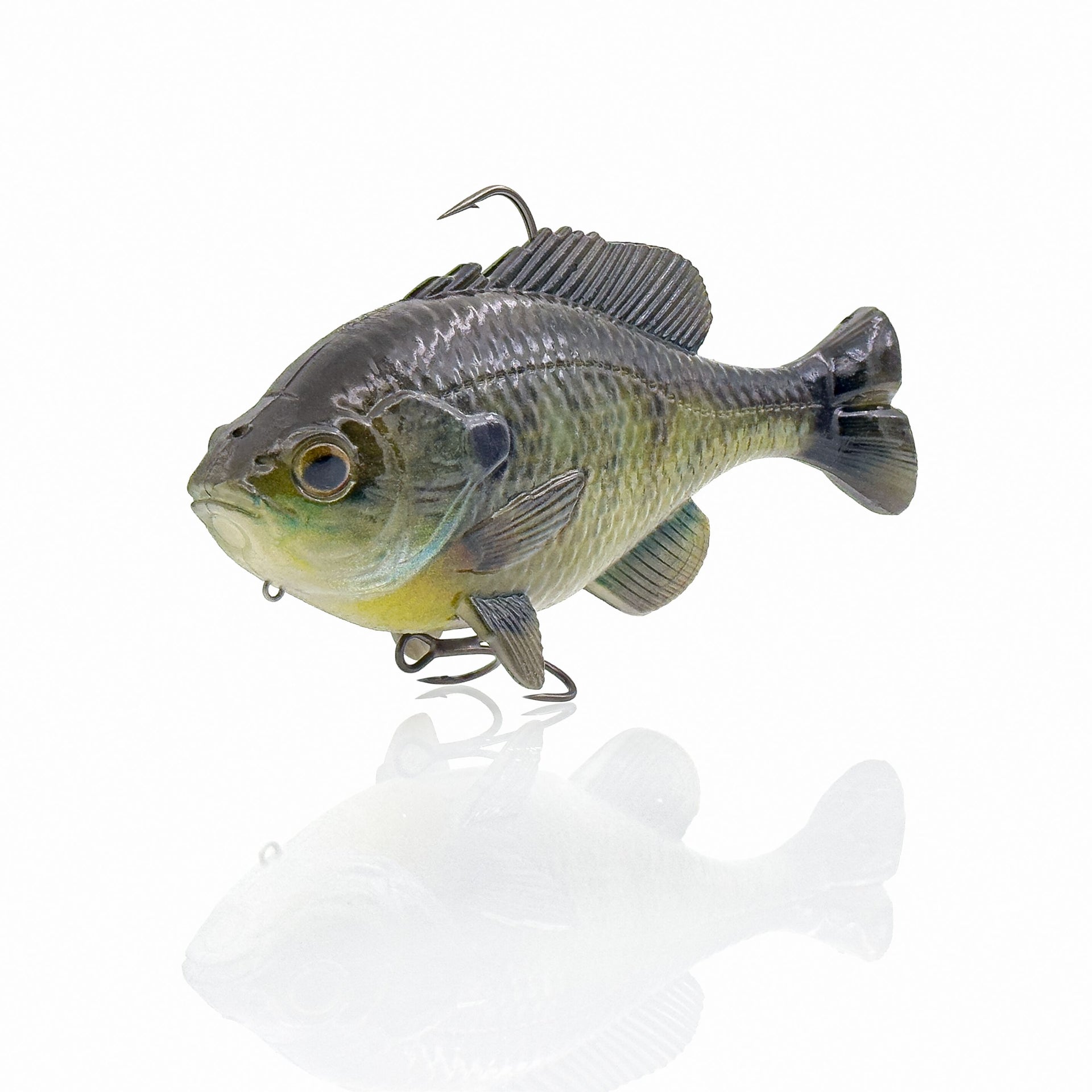 3D Pulse Tail Bluegill Line Thru Pro