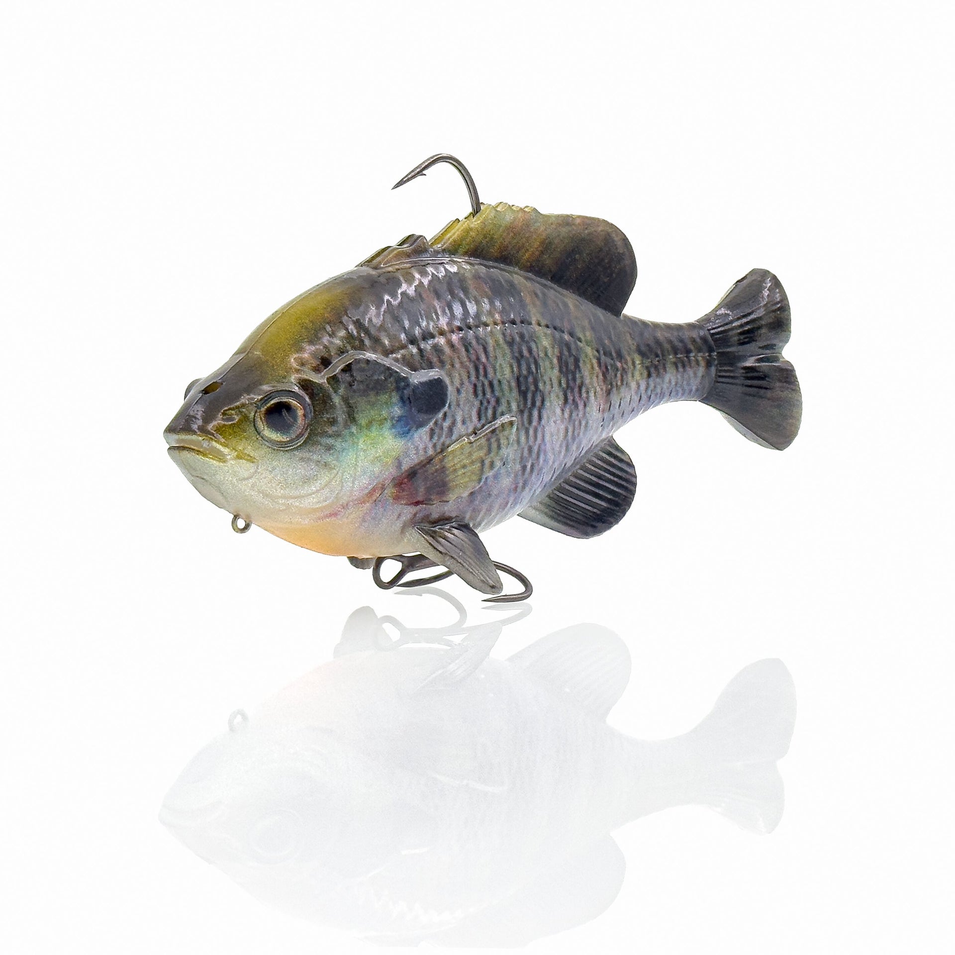 3D Pulse Tail Bluegill Line Thru Pro