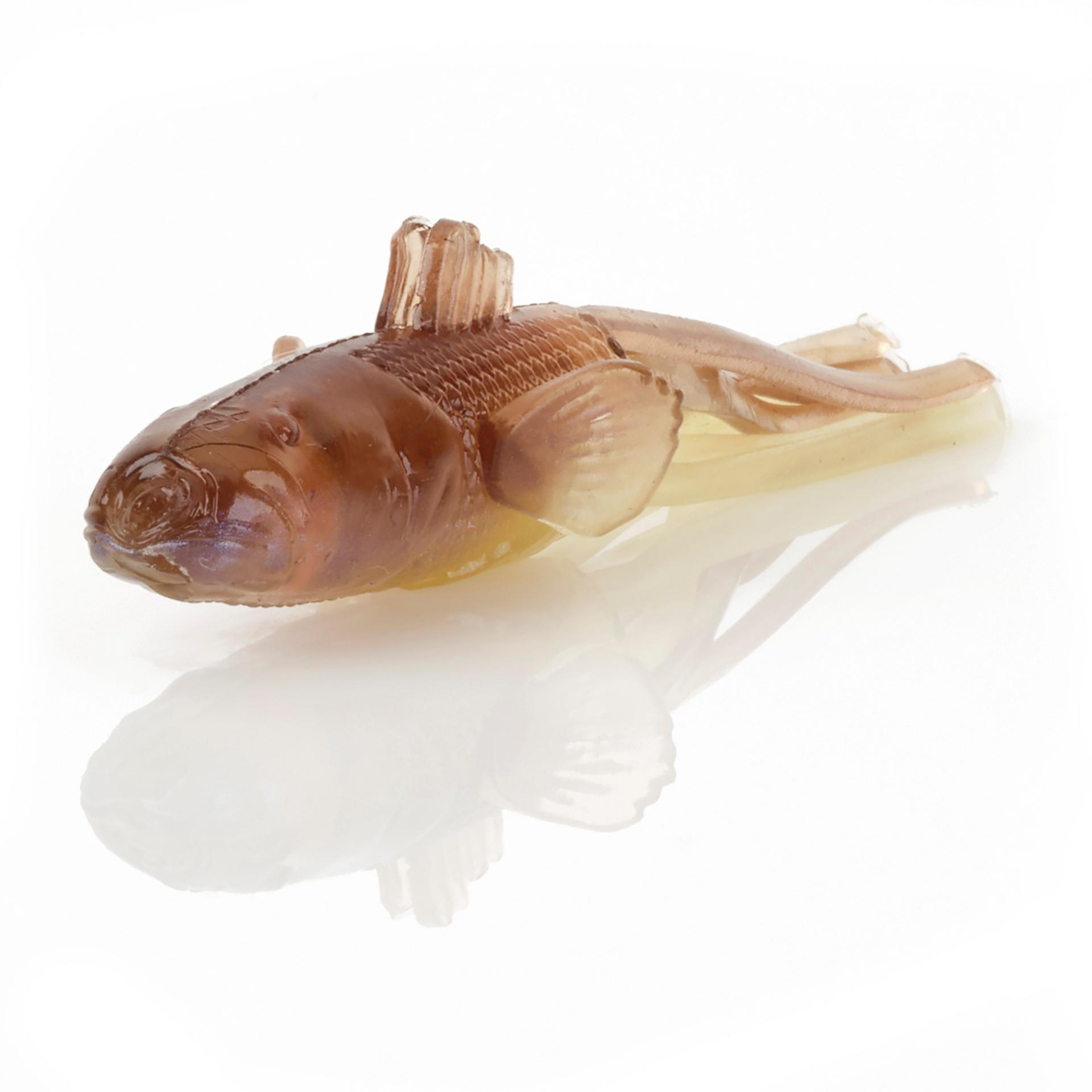 Toughtec NED Goby | Savage Gear® 