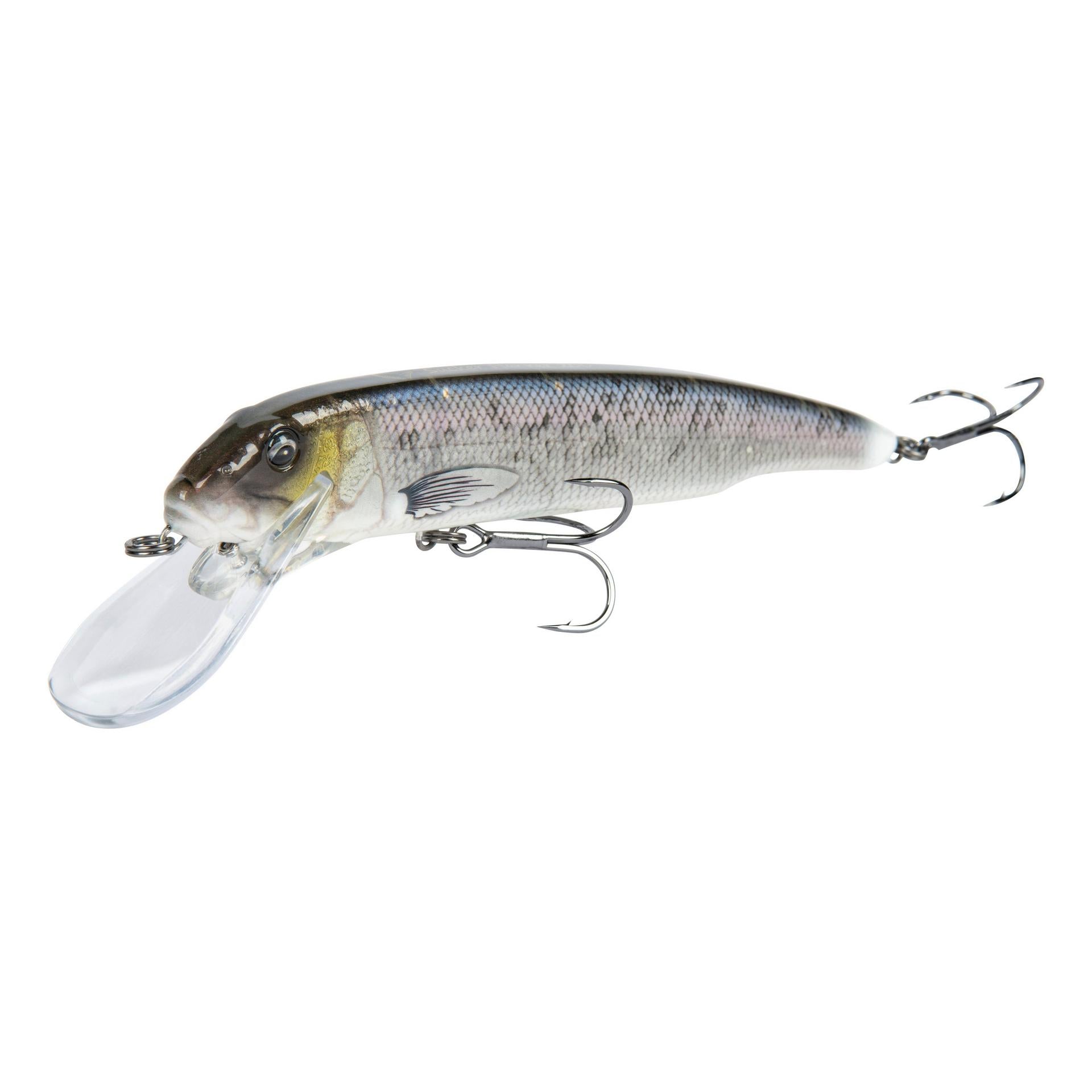 Sucker Flanker| Savage Gear