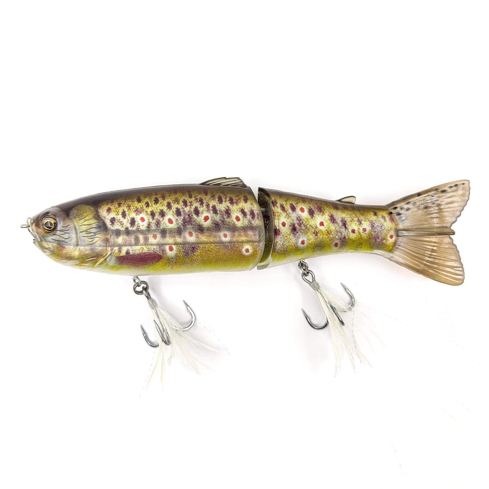 Scandal| Savage Gear