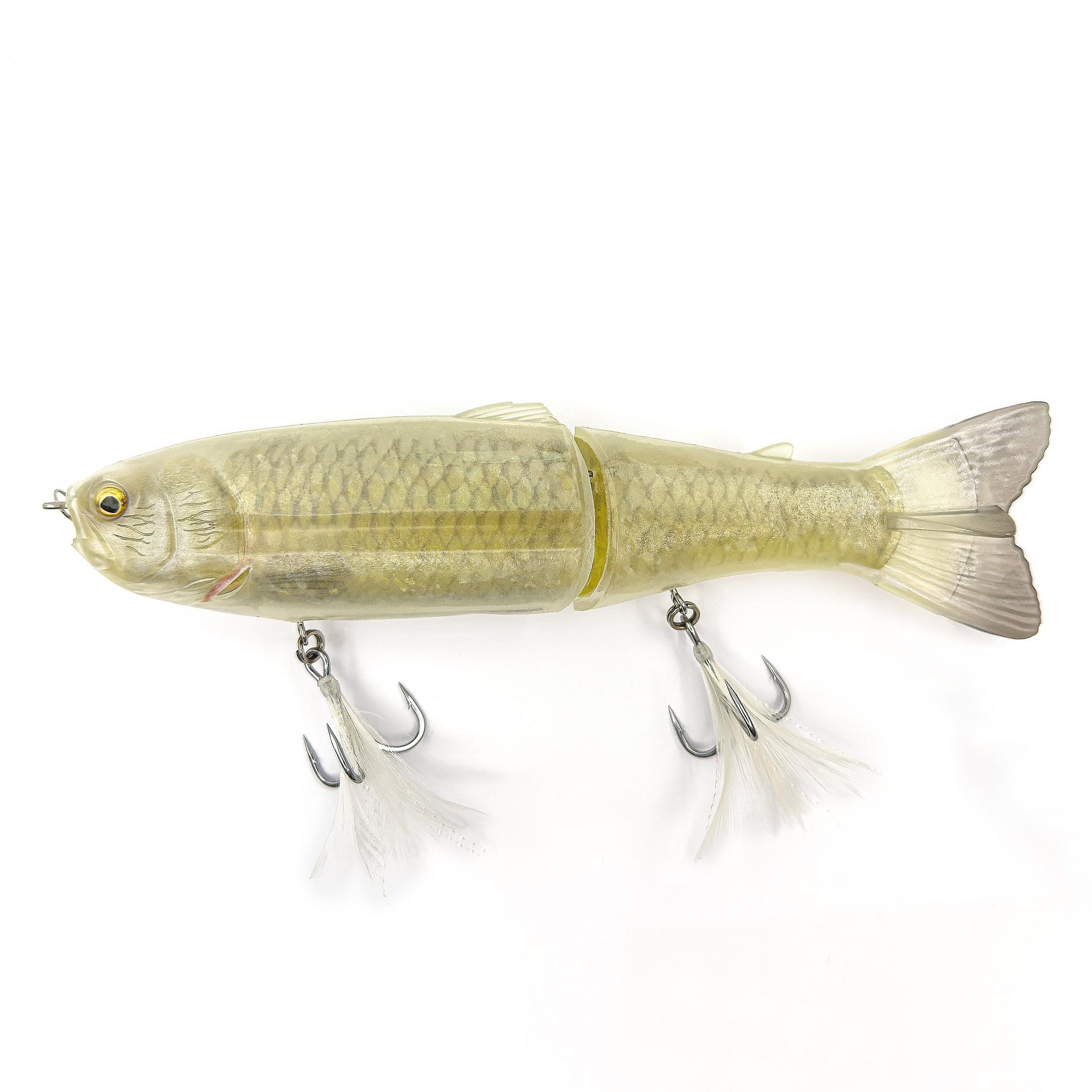 Scandal| Savage Gear