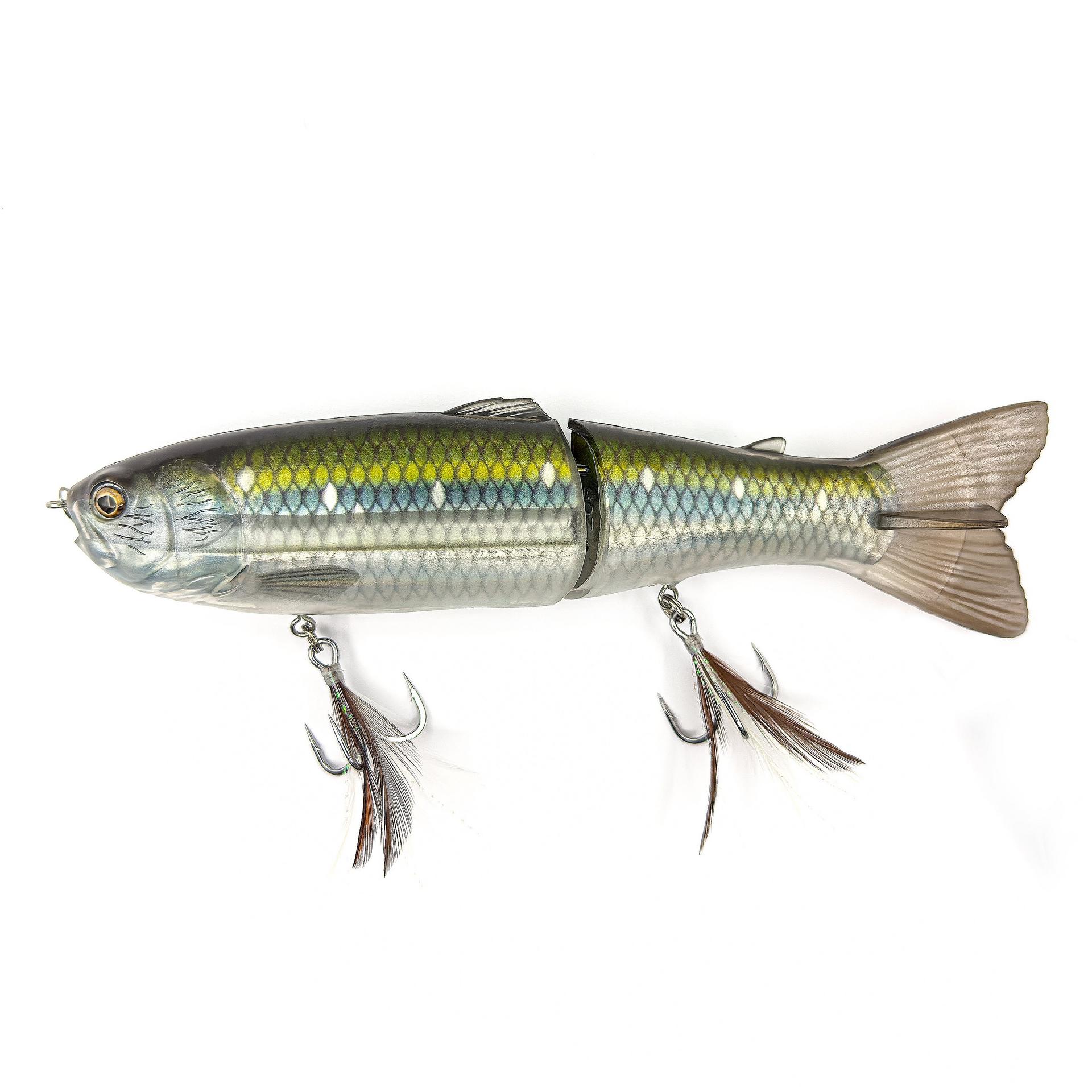 Scandal| Savage Gear